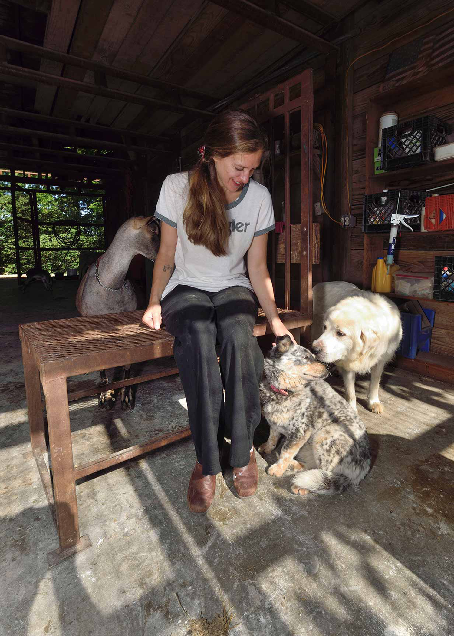 A woman with a white shirt, black pants, and brown shoes sits on a brown, metal bench inside a barn. On the right, there are two dogs. A light dog with black and brown spots sits next to the woman, white a white dog stands next to the dog sitting down. Behind the woman is a white and brown goat. 