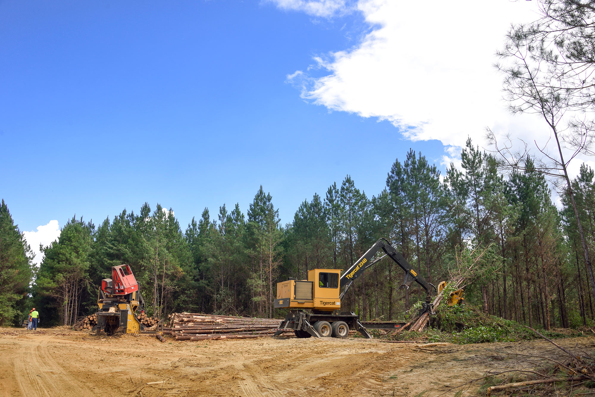 Two yellow logging machines stand in a dirt-covered patch of land. A machine on the right moves the trees, while the machine on the left sits still, waiting to be used.