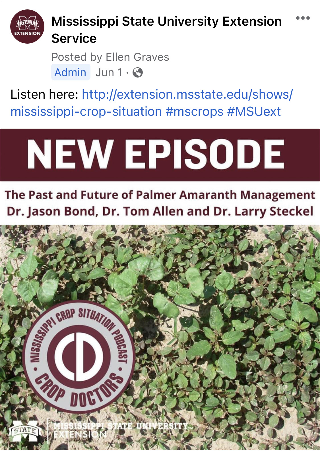 A Facebook post from MSU Extension advertising a podcast.