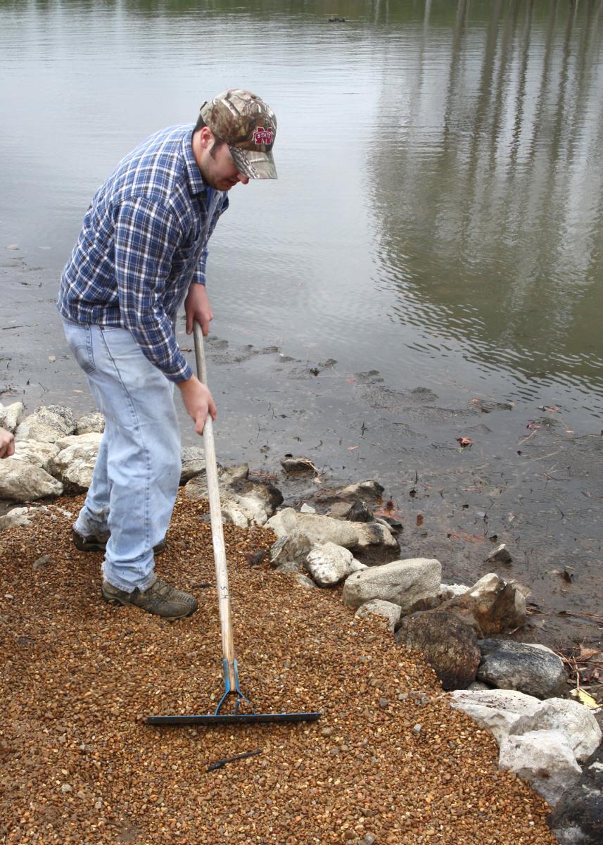 The easiest time to install pea gravel beds to attract spawning bream is when water levels are low. (Photo by MSU Extension Service/Wes Neal)