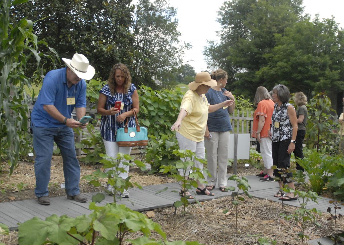 Jim Farmer and Patty Sherrill gathered ideas for Jim’s Pumpkin Patch in Rolling Fork June 13, 2017, at the Heritage Demonstration Garden at the Vicksburg National Military Park. (Photo by MSU Extension Service/Bonnie Coblentz)