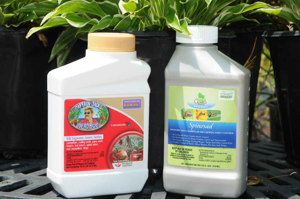 Two plastic containers of insecticide.
