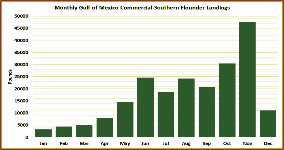 A chart showing the monthly Gulf of Mexico Commercial Southern Flounder Landings