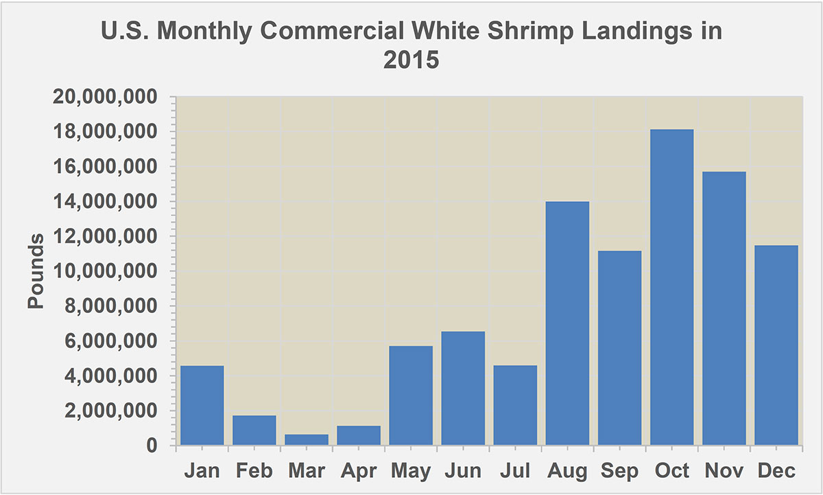 U.S. Monthly Commercial White Shrimp Landings in 2015 graph
