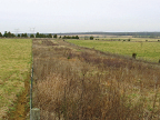 Large, flat field with green grass growing on either side of a strip of taller, brown grasses.