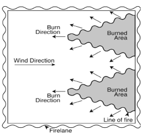 Diagram for flank fire prescribed burning technique, where smaller fires are set apart from each other, against the direction of the wind.