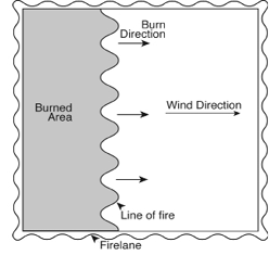 Diagram for head fire prescribed burning technique, where burning direction is the same direction as the wind.