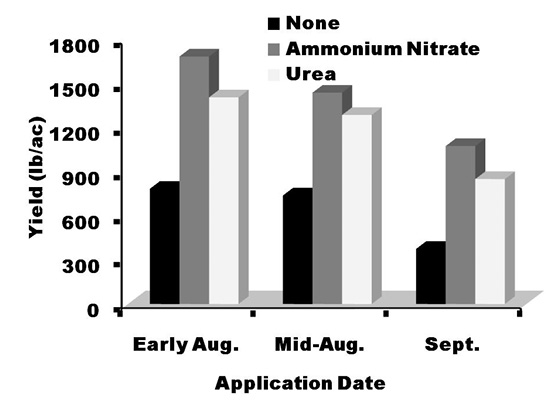 Production efficiency is greatest with ammonium nitrate. Urea is better than no nitrogen application but not as good as ammonium nitrate. The best time to apply is early August, while the least effective time is September.