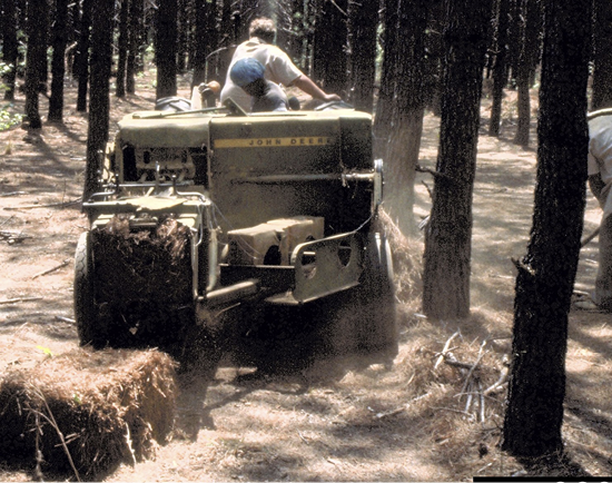 A mechanical baler machine works it way through the forest, leaving a trail of baled straw behind it.