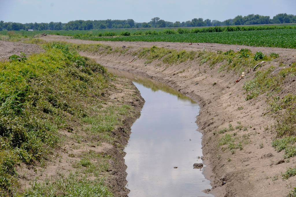 A ditch filled with water running between agricultural fields.