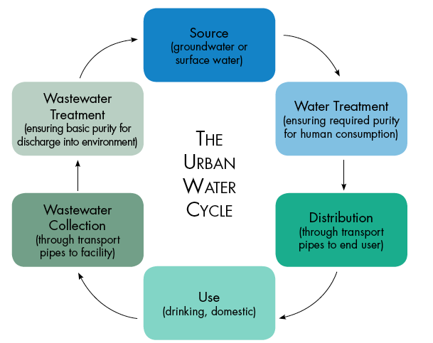 A diagram with "urban water cycle" in the center and the following text boxes circling it with arrows pointing from one box to the next: Source (groundwater or surface water); Water Treatment (ensuring required purity for human consumption); Distribution (through transport pipes to end user); Use (drinking, domestic); Wastewater Collection (through transport pipes to facility); and Wastewater Treatment (ensuring basic purity for discharge into environment).