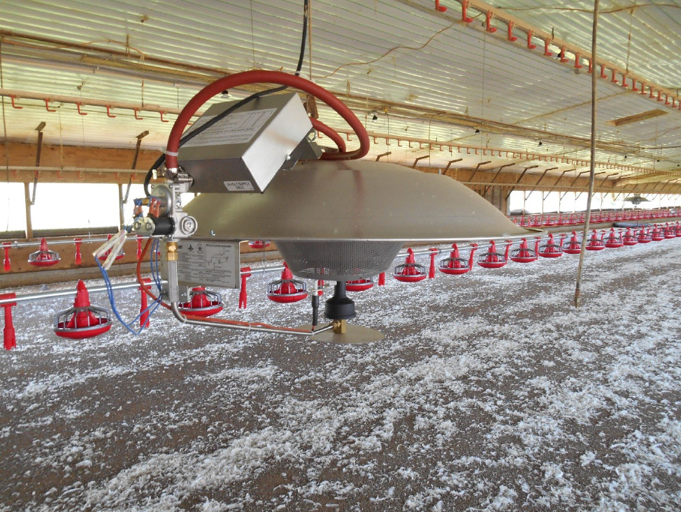 Interior of a poultry house with rows of waterers in the background and a metal radiant heater hanging about 7 feet off the ground.