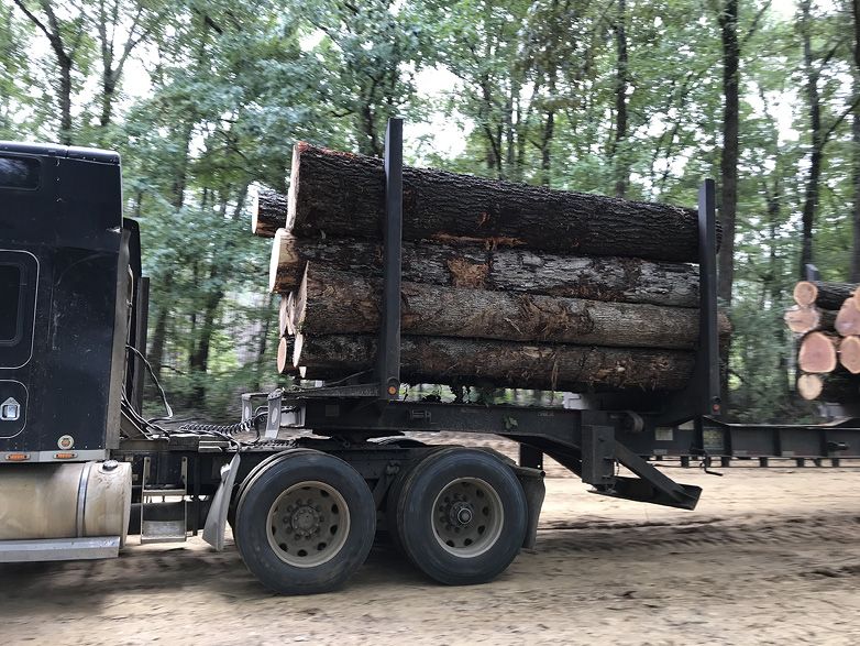 A logging truck loaded with hardwood logs.