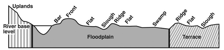Various topographic regions of a floodplain, including bars, fronts, flats, sloughs, swamps, and ridges.