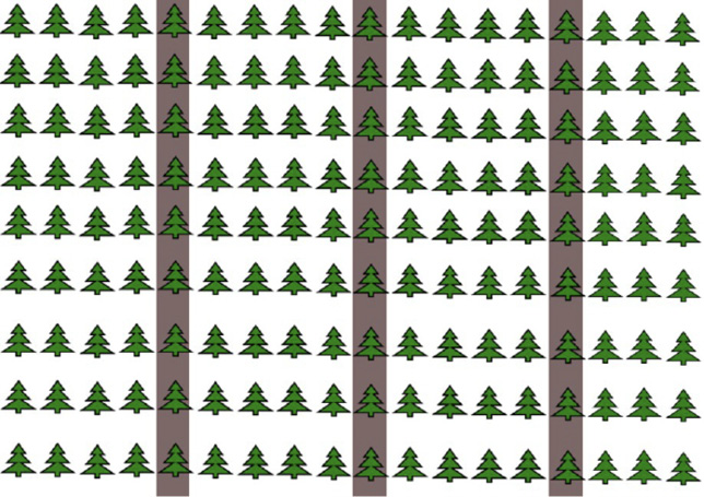 Diagram of rows of trees with every fifth row shaded.
