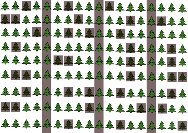 Diagram of rows of trees with every fifth row shaded and additional between-row trees shaded.