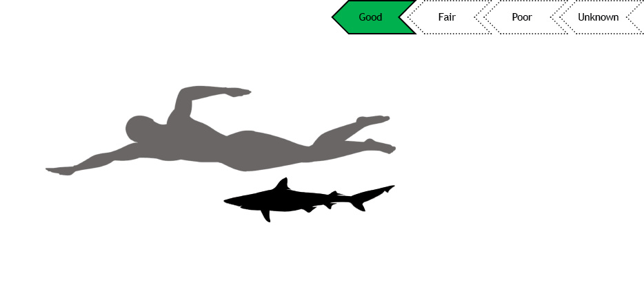 Current status of Atlantic sharpnose shark population is unknown.