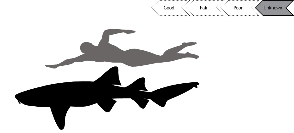 Current status of Nurse shark population is unknown.