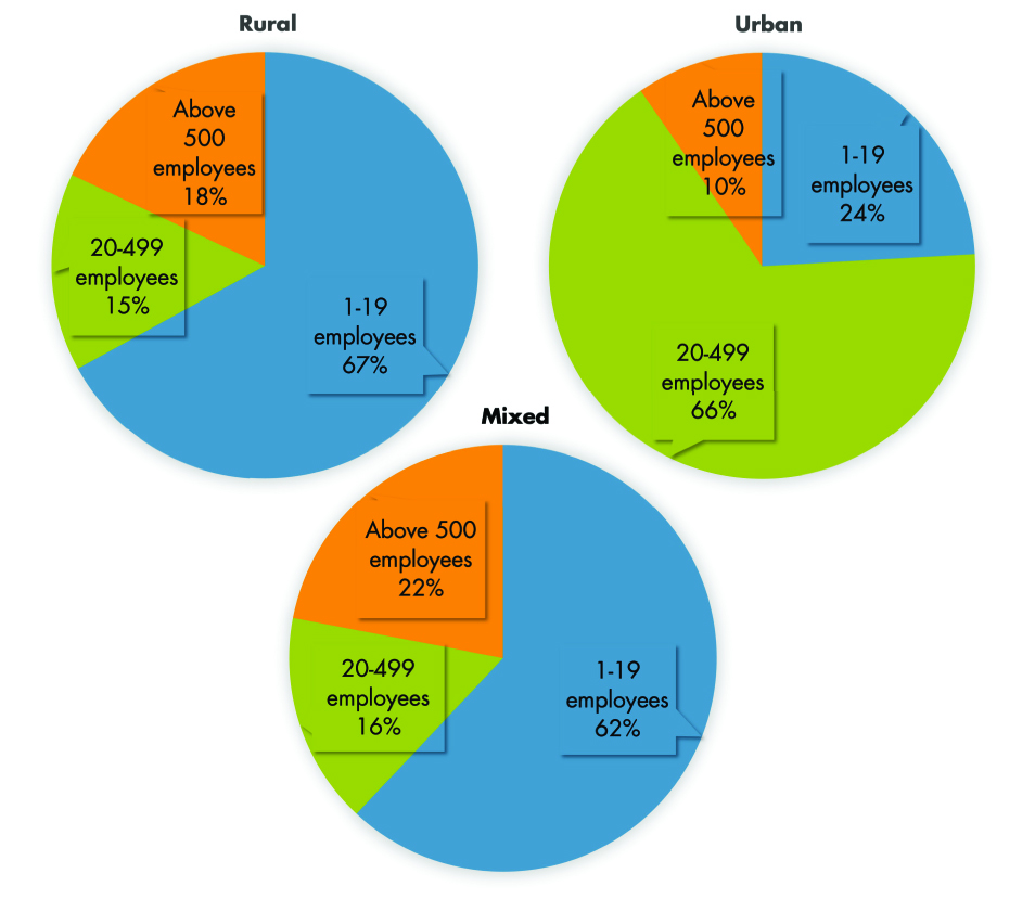 Comparison of share of establishments by size group in rural, urban, and mixed areas.