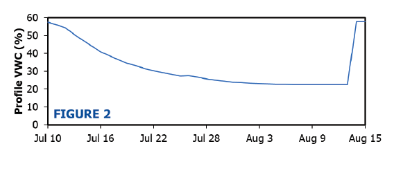 In the example described by Figure 1, profile volumetric water content decreased gradually from 58% on July 10 to 22% on August 11.