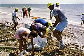 volunteers cleaning up the coast.