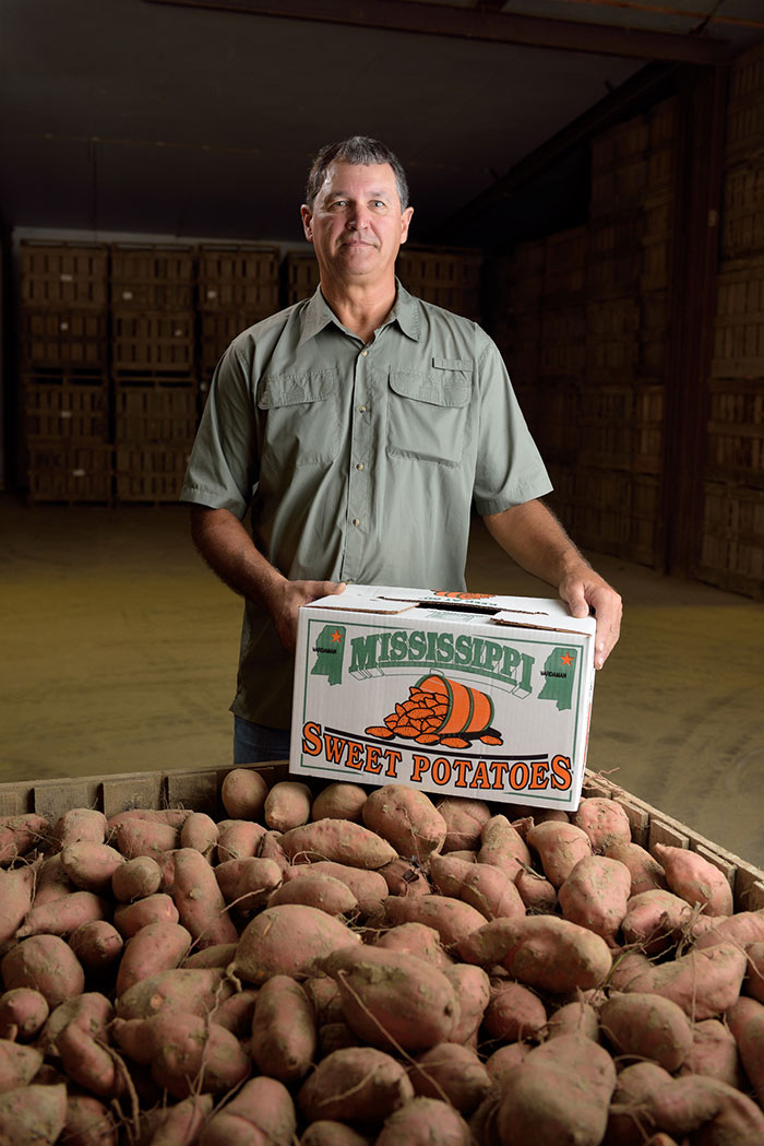 A grey-haired man stands behind a wooden crate filled with hundreds of brown sweet potatoes while resting a white cardboard box that says “Mississippi Sweet Potatoes” on top of the potatoes.