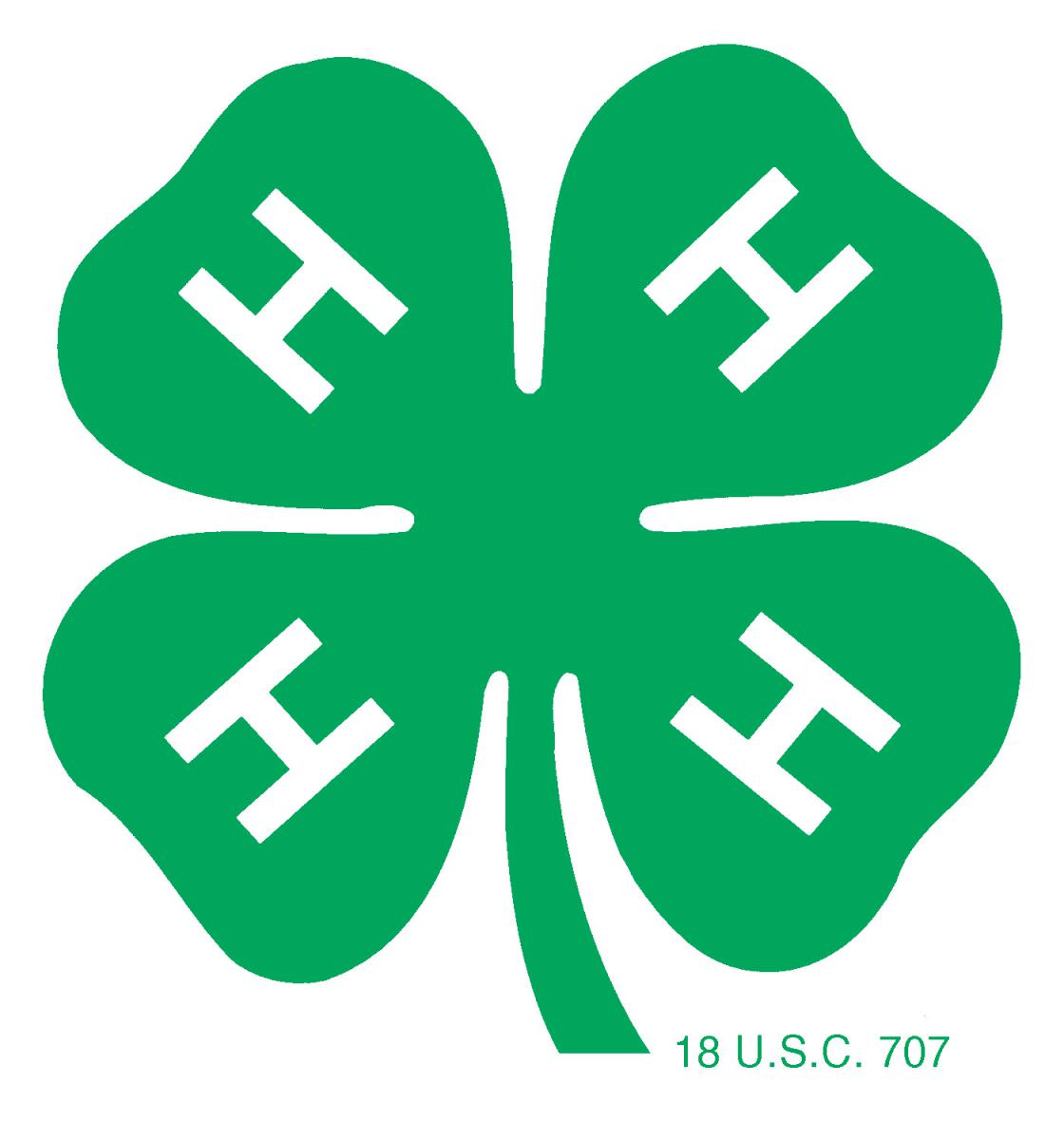 green 4-leaf clover with an H on each leaf