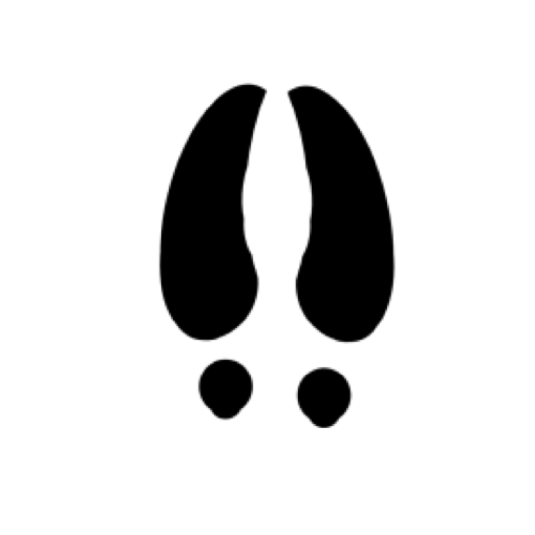 Deer Track