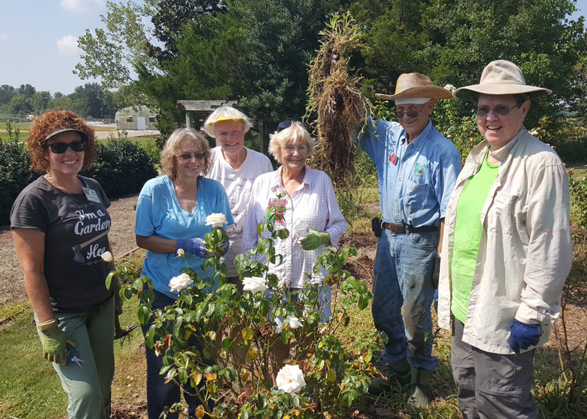 Six Master Gardeners pose in a rose garden after weeding it