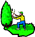 Man pruning a tall shrub. Illustration.