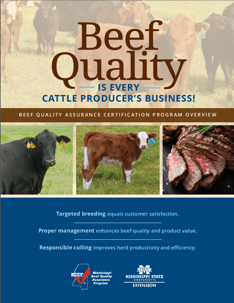 Cover of BQZ overeview publication.