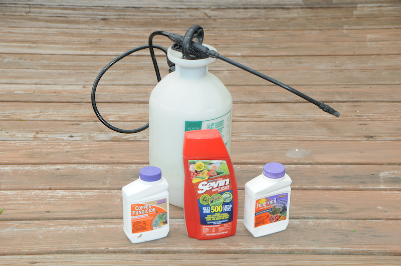 A pump-up sprayer and three containers of pesticide.
