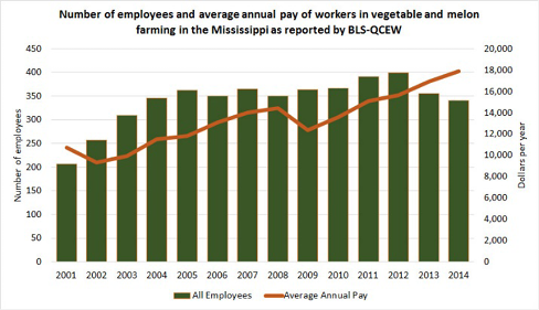 This graph shows the number of employees and average annual pay of workers in vegetable and melon farming in Mississippi as reported by BLS-QCEW