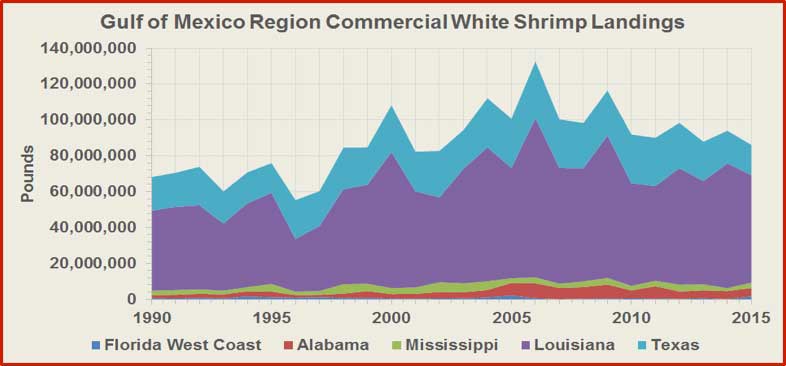 Figure 3 shows the commercial landings of white shrimp from the Gulf of Mexico Region since 1990. During the last five years, the Gulf States supplied 94.3% of the wild American white shrimp amounting to 91.3 million pounds and valued at $204.2 million per year. Louisiana is the largest producing state of wild American white shrimp in the Gulf of Mexico, followed by Texas, Alabama, Mississippi, and Florida.