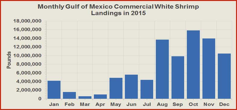 Figure 4. Monthly wild American white shrimp commercial landings in the Gulf of Mexico Region. Source of raw data: NOAA Fisheries (http://www.st.nmfs.noaa.gov/).