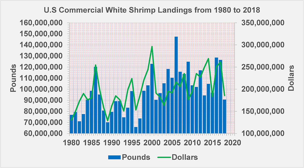 U.S Commercial White Shrimp Landings from 1980 to 2018 graph