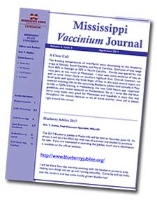 Image of one of the newsletters.