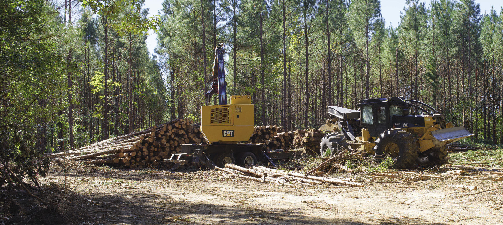 logging operation with equipment and stacked logs.