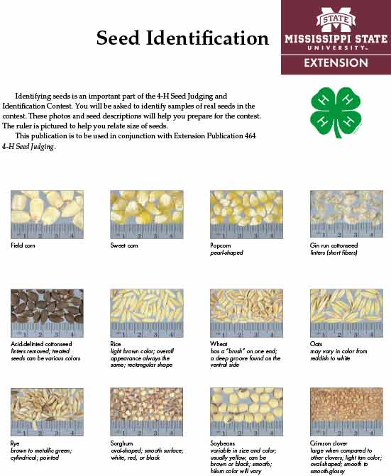 The front page of the 4-H Seed Judging and Identification Contest publication, showing different seeds.