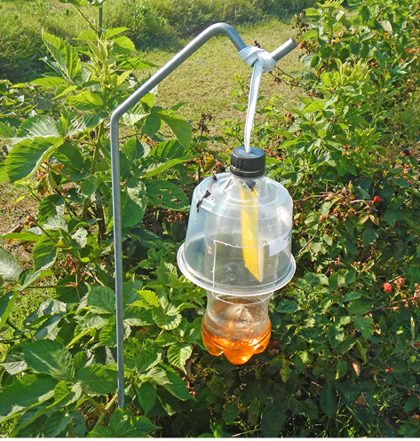 A simple trap made of a 2-liter bottle, a piece of plastic, and a liquid hanging from a metal pole.