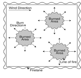 Diagram for spot fire prescribed burning technique, where individual small fires are set in different locations, gradually coming together as they expand.