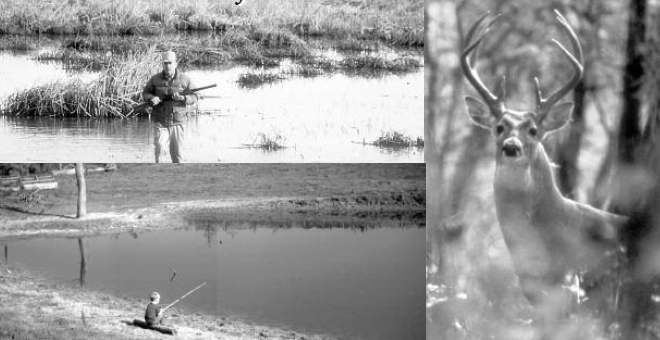 image of buck deer in the woods. A man with rifle. and a little boy fishing in a pond.