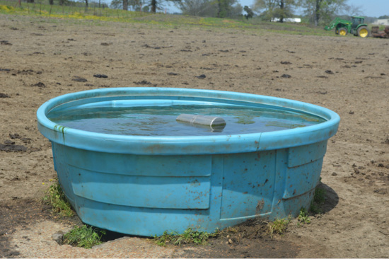 A full blue water trough with a silver float in the middle. 