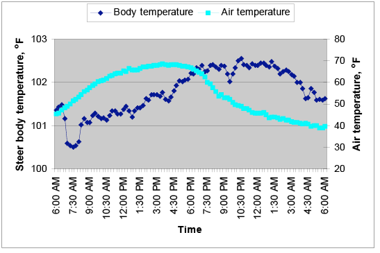 On a cold day at 6 a.m., steer body temperature was a little over 101, dropped to 100.5 at 7:30, then steadily increased throughout the day, and evening to about 102.5. Temp stayed roughly 102.5 through the night and early morning hours, when it began to decrease slightly around 3 a.m. The final temperature reading at 6 a.m. the following day was about 101.5.