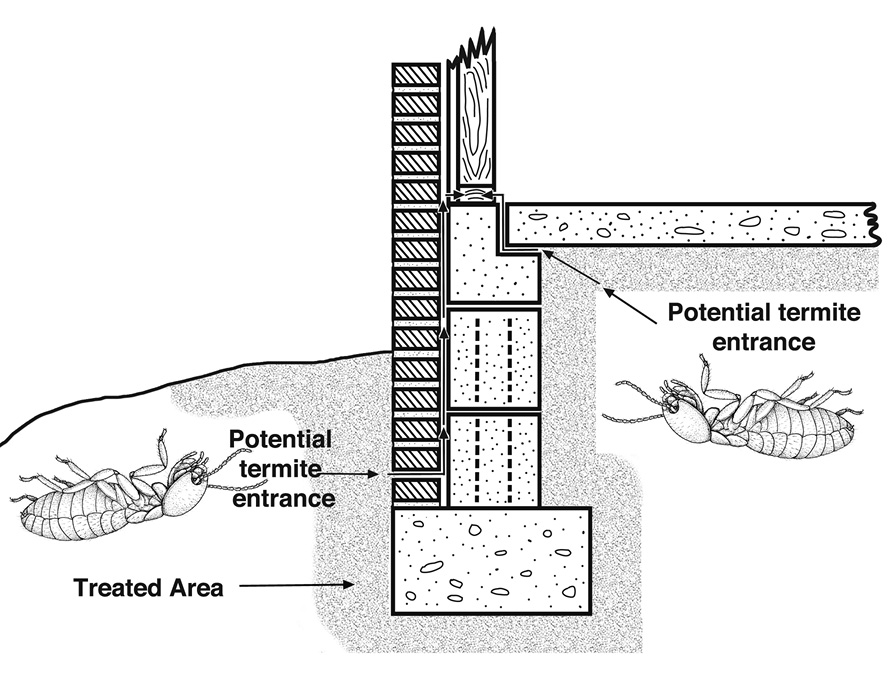 Illustration showing a termiticide treatment band around the perimeter of a building.