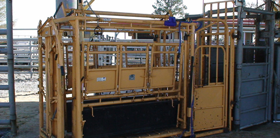 Large, metal cage with a door and sections of wall that can be moved to handle different areas of the animal's body.