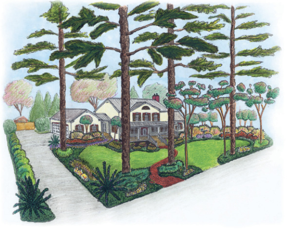 Color drawing of a house with extensive landscaping, including shrubs, flowers, and trees.