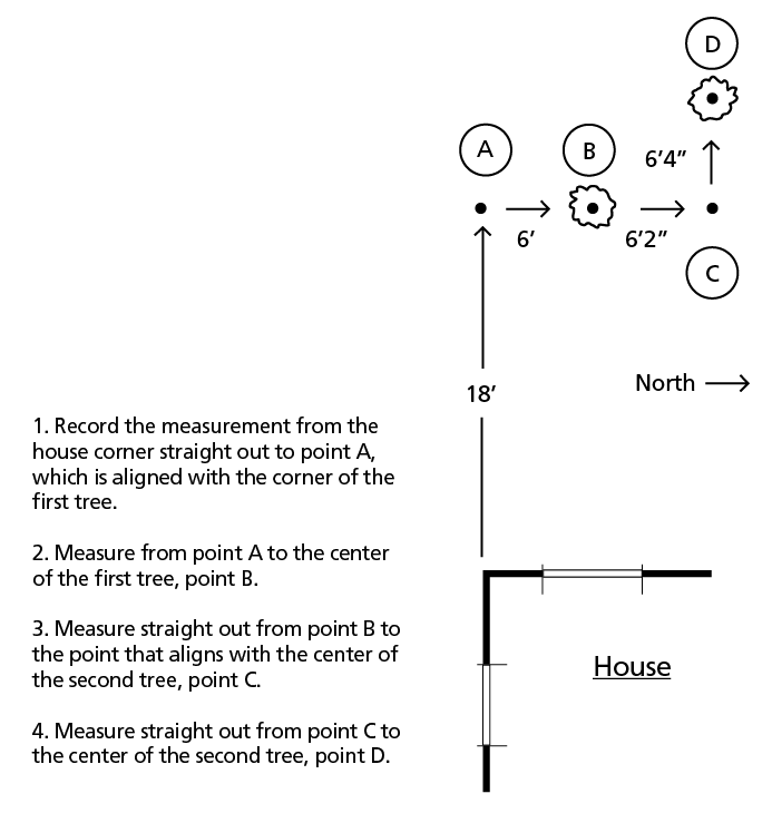 Diagram showing how to use the sight line of a house to locate an existing tree in the landscape.