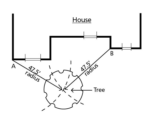Image description in text.
