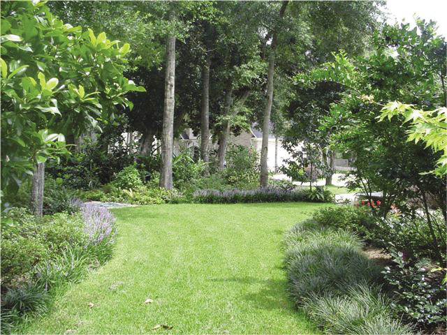 An area of short, green grass surrounded by larger green plants, trees, and flowers.